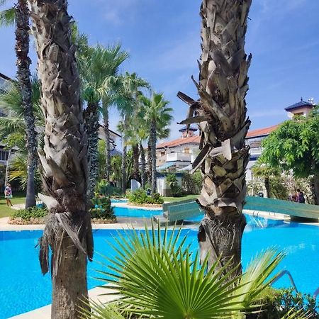 Sunny Apartment Costa Blanca La Mata  Luaran gambar